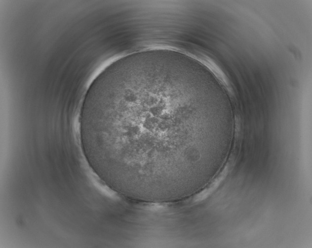 X0000110980814200907022054