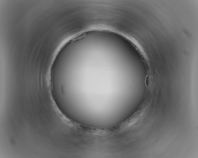 X0000110980815200907022054