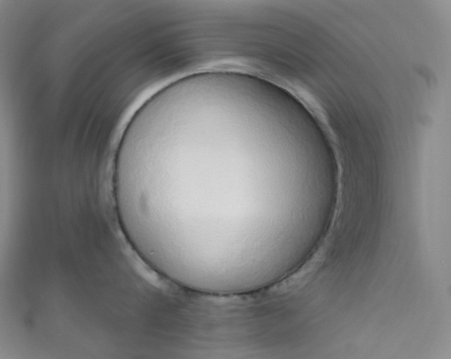 X0000110980816200907022054