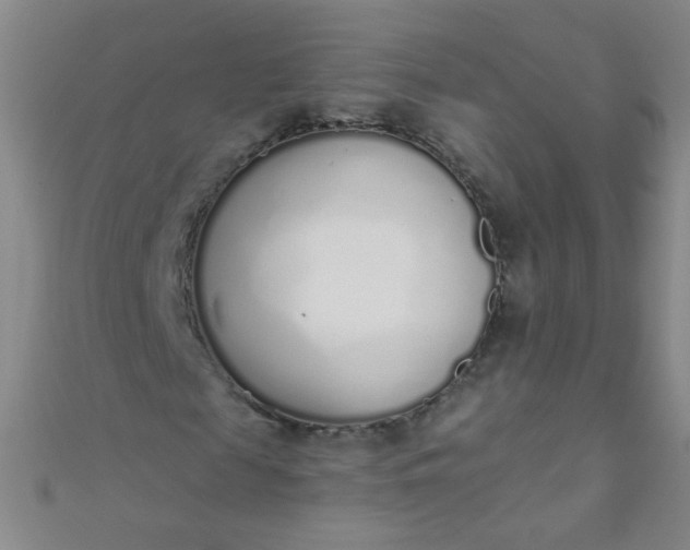 X0000110980817200907022054