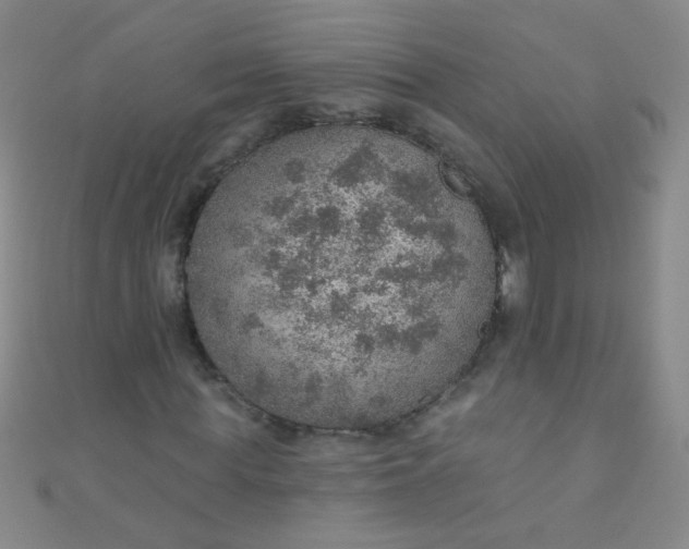 X0000110980819200907022054