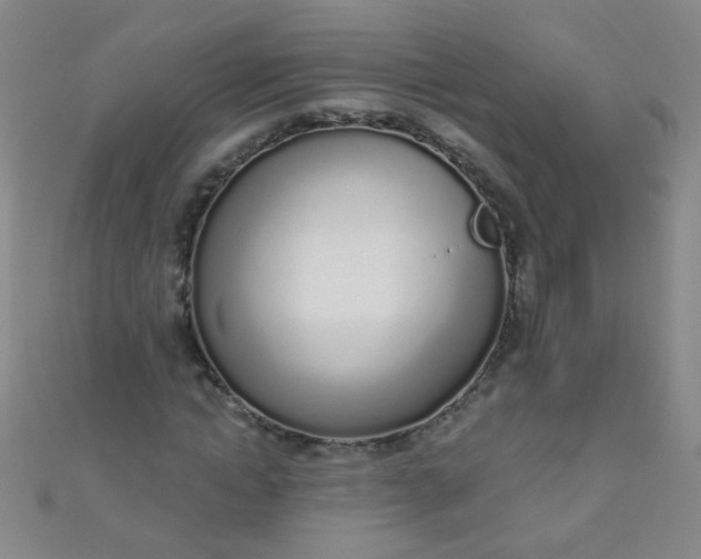 X0000110980822200907022054