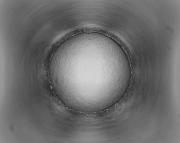 X0000110980823200907022054