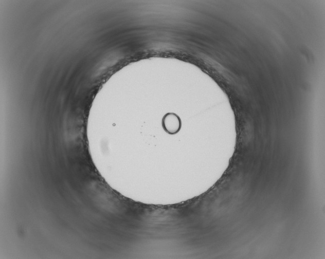 X0000110980824200907022054