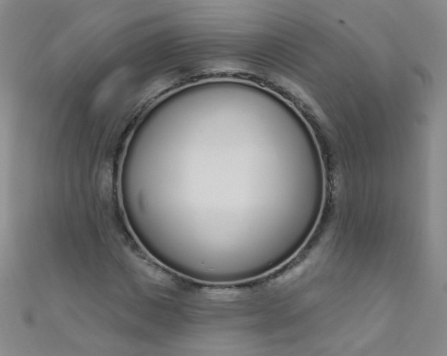 X0000110980825200907022054