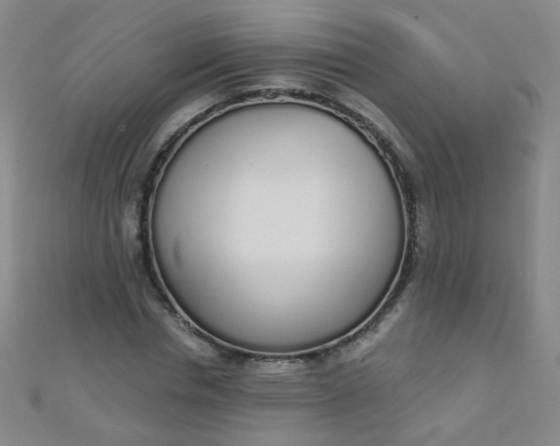 X0000110980826200907022054