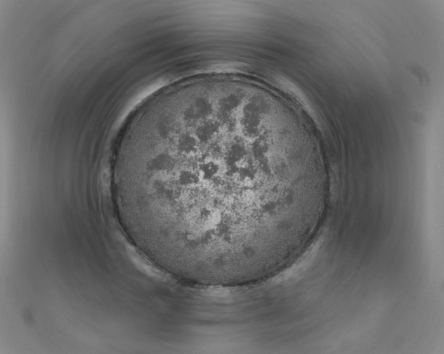 X0000110980827200907022054