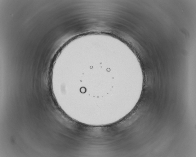 X0000110980828200907022054