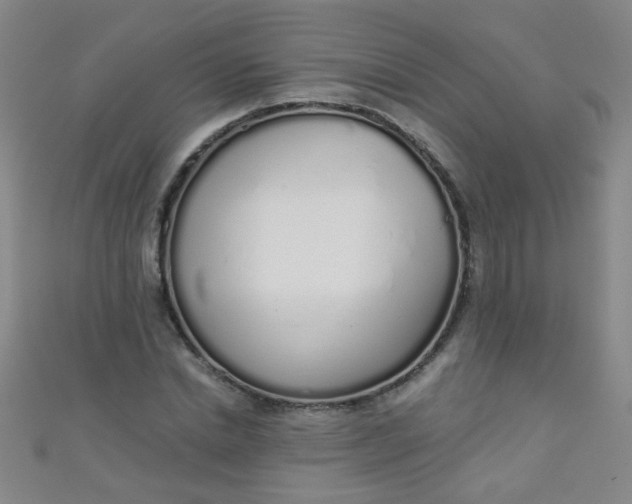 X0000110980830200907022054