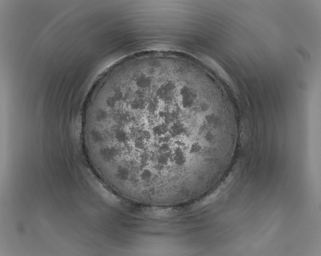 X0000110980831200907022054