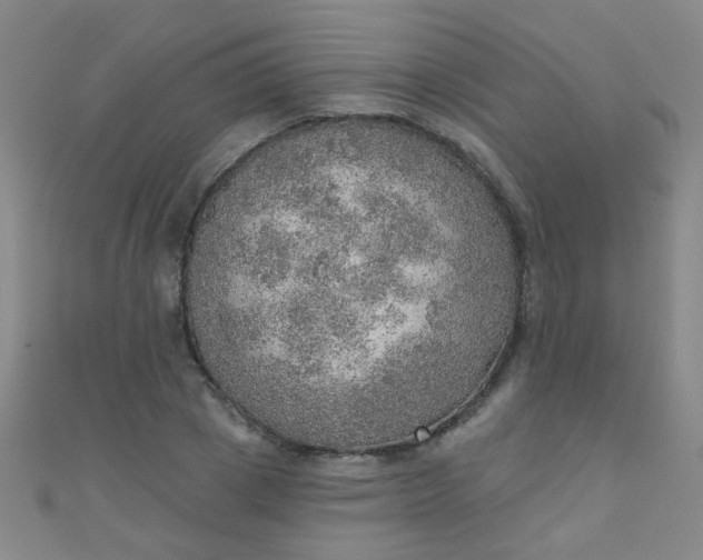 X0000110980833200907022054