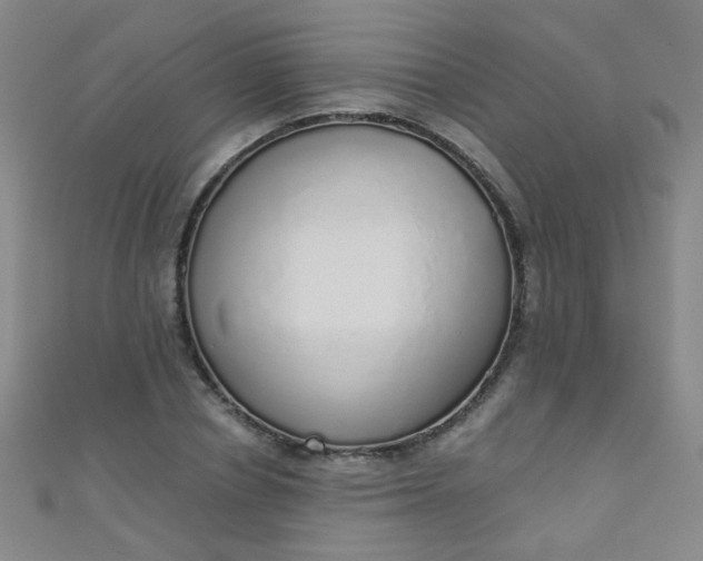 X0000110980834200907022054