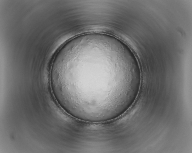 X0000110980835200907022054