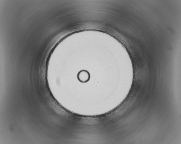 X0000110980836200907022054