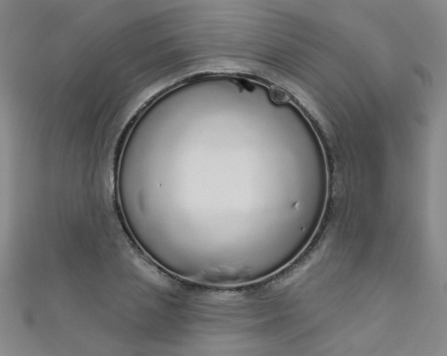 X0000110980837200907022054