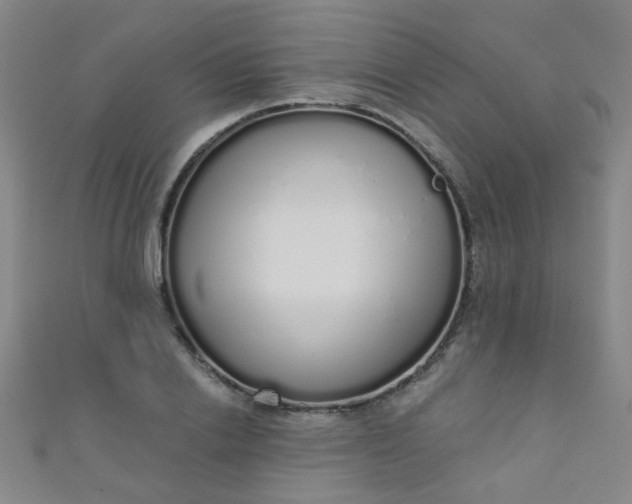 X0000110980838200907022054