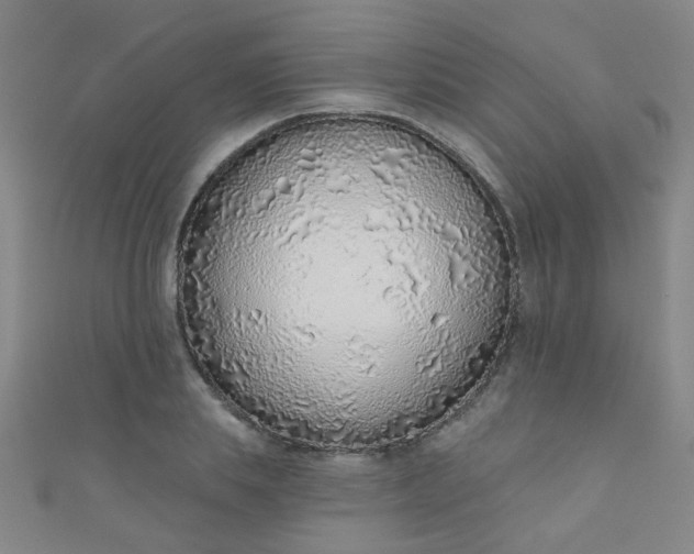 X0000110980839200907022054