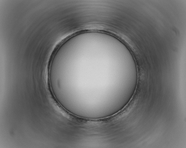 X0000110980840200907022054