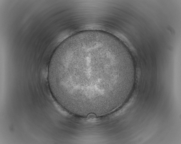 X0000110980841200907022054