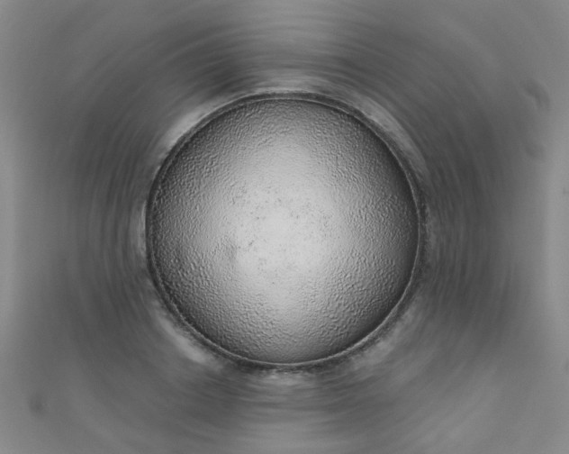 X0000110980842200907022054