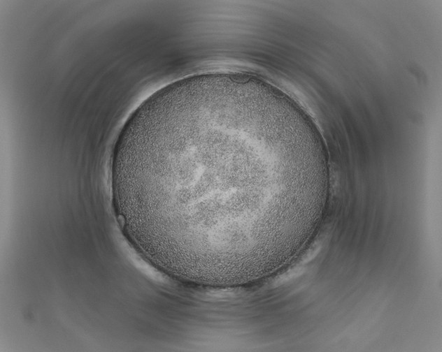 X0000110980843200907022054