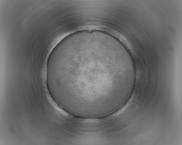 X0000110980844200907022054