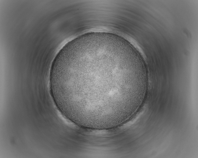 X0000110980845200907022054