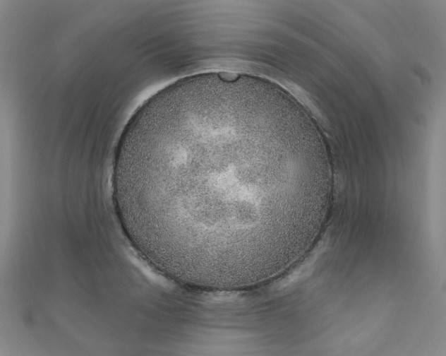 X0000110980846200907022054