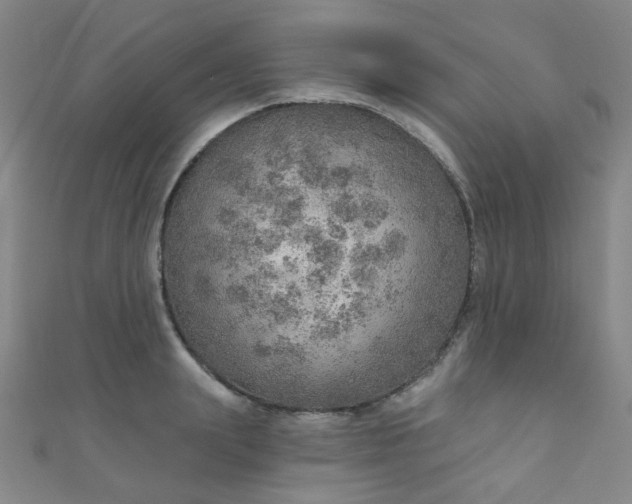 X0000110980847200907022054