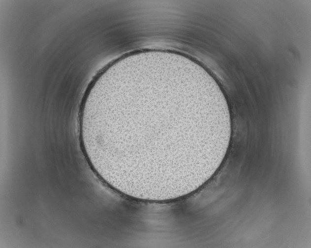 X0000110980848200907022054