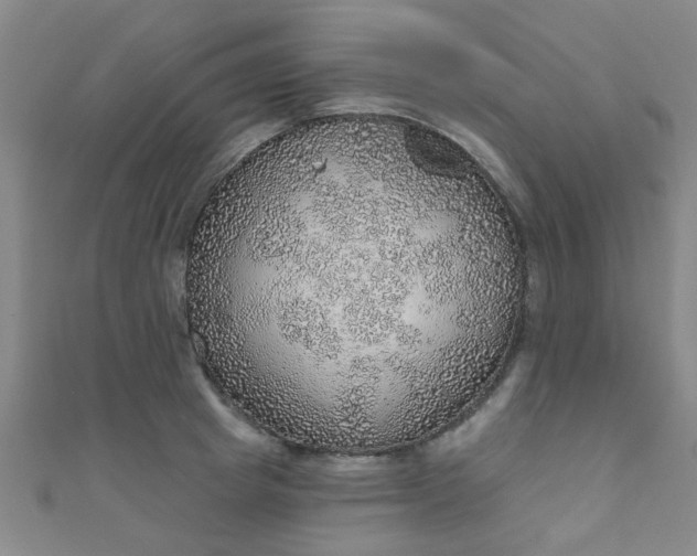 X0000110980849200907022054