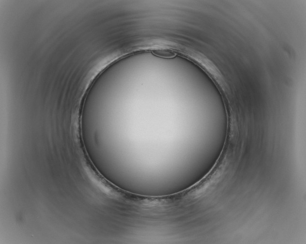 X0000110980850200907022054