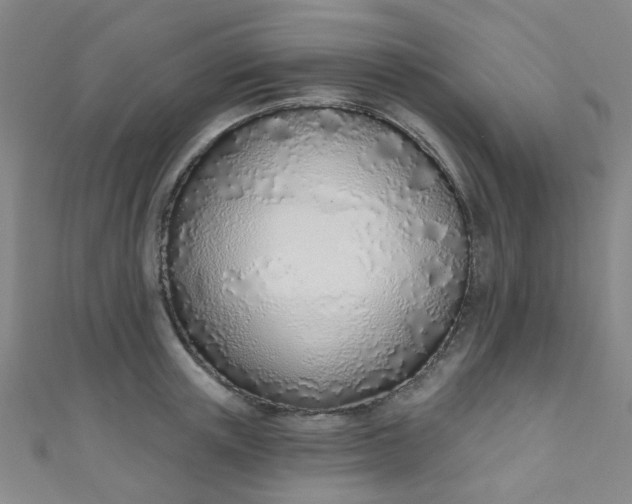 X0000110980851200907022054