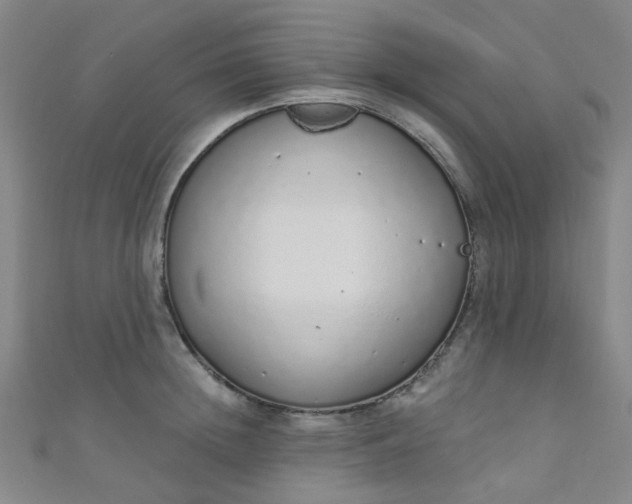 X0000110980852200907022054