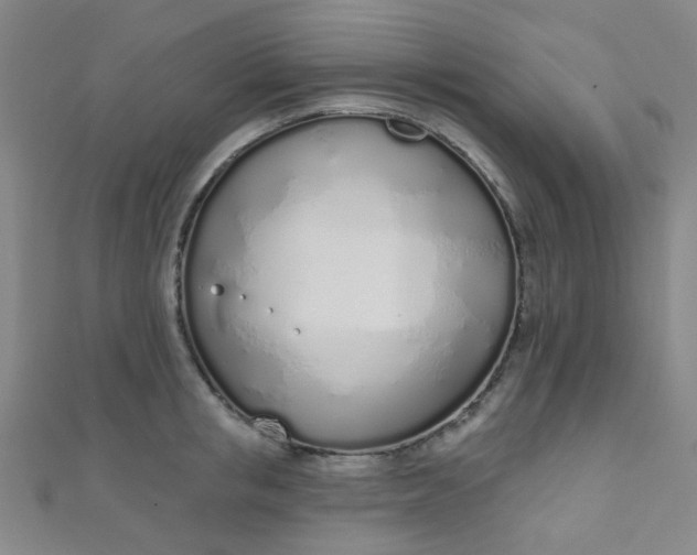 X0000110980853200907022054