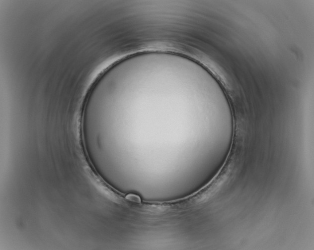 X0000110980854200907022054