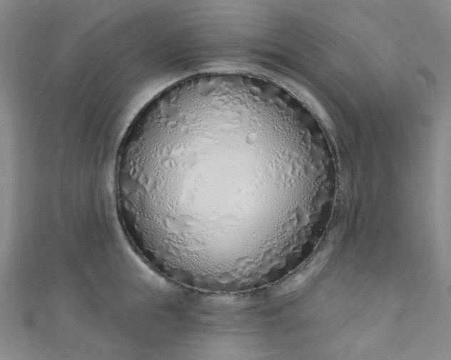 X0000110980855200907022054