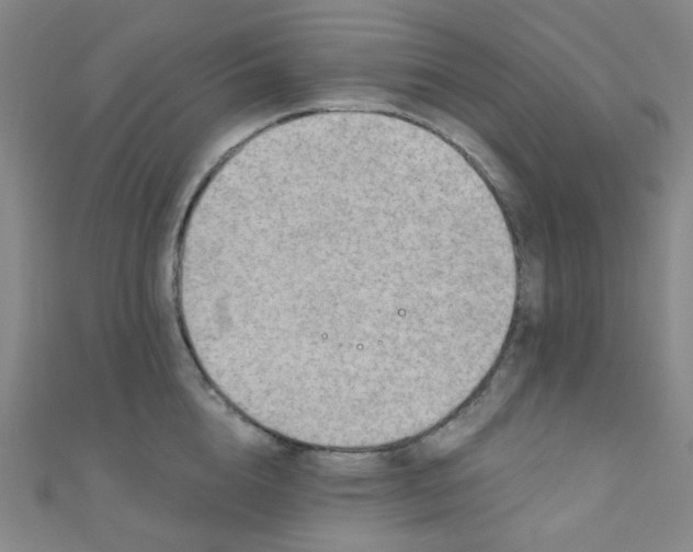 X0000110980856200907022054