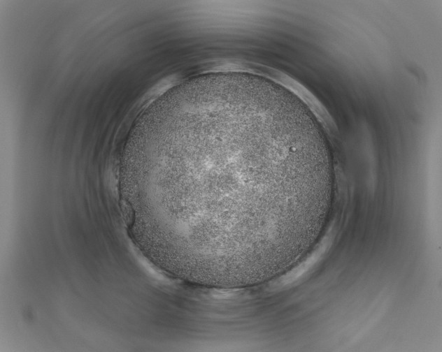 X0000110980857200907022054