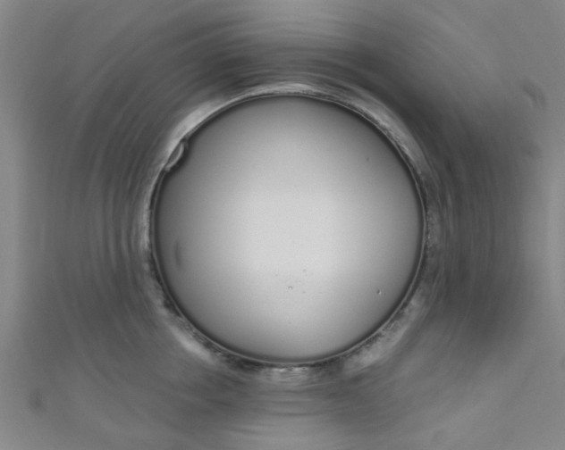 X0000110980858200907022054