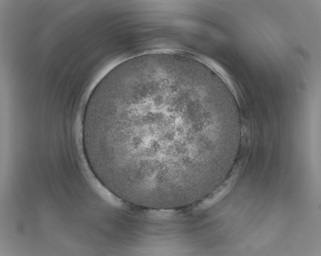 X0000110980859200907022054