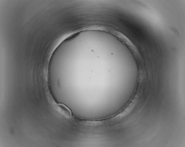 X0000110980860200907022054