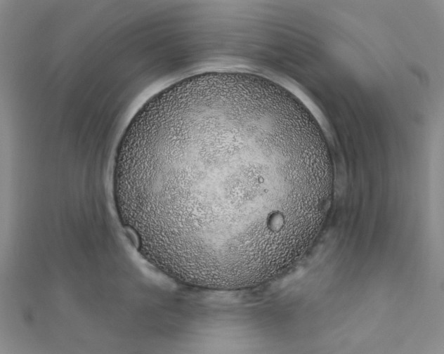 X0000110980861200907022054