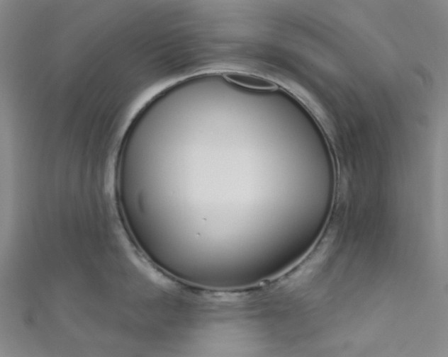 X0000110980862200907022054