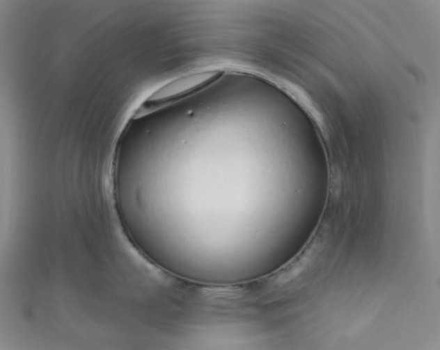 X0000110980863200907022054