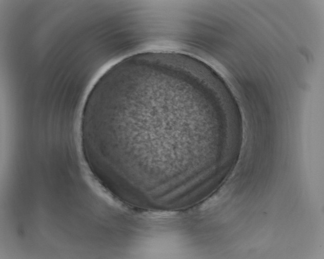 X0000110980864200907022054