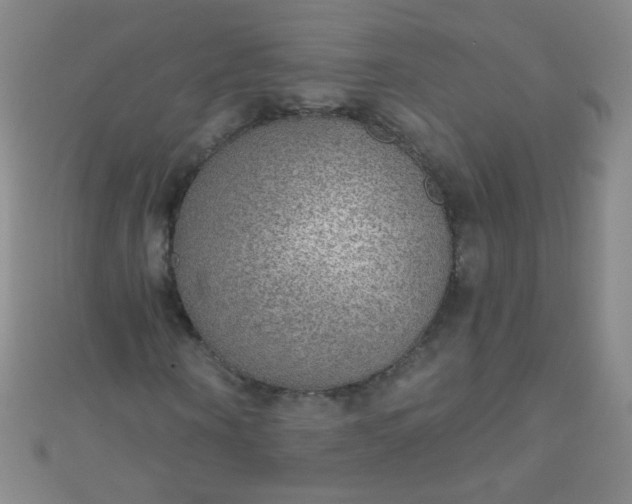 X0000110980866200907022053