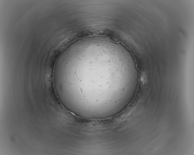 X0000110980867200907022053