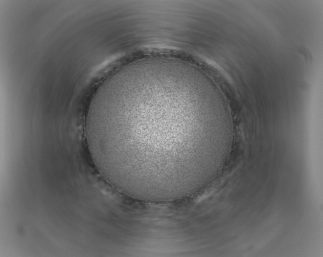 X0000110980870200907022053