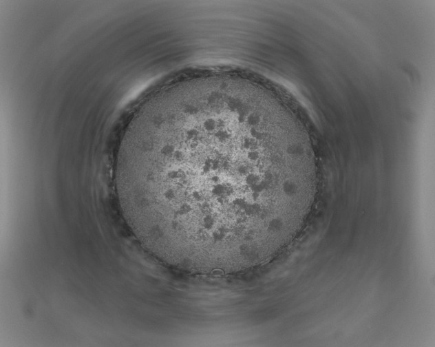 X0000110980871200907022053